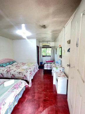 Aravilla Homestay Family B